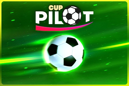 Pilot Cup
